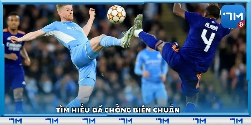 Tìm hiểu đá chồng biên chuẩn