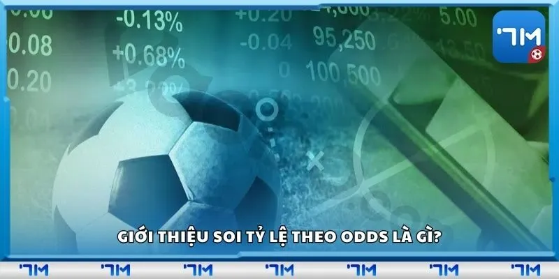 Giới thiệu soi tỷ lệ theo odds là gì?