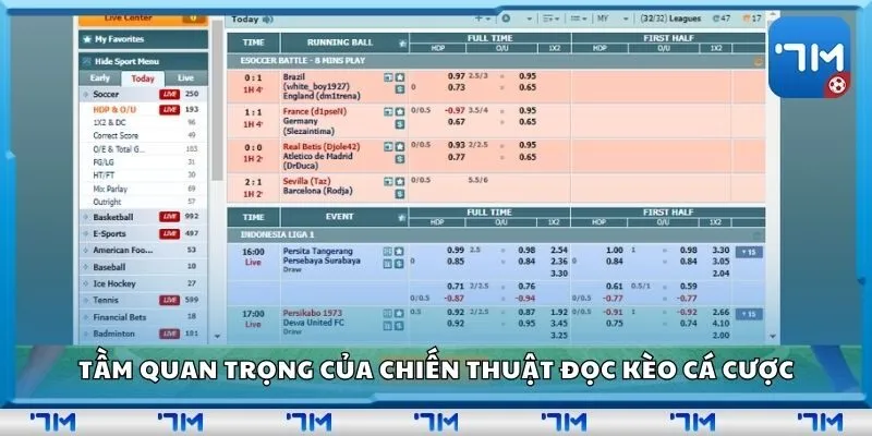Tầm quan trọng của chiến thuật đọc kèo cá cược