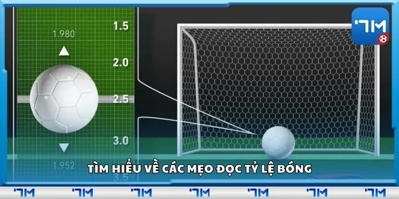 Tìm hiểu về các mẹo đọc tỷ lệ bóng